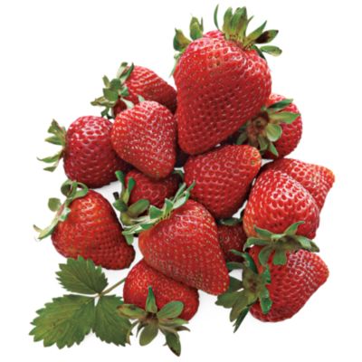 Light Size Giant Strawberries