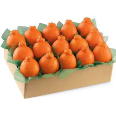 HoneyBells Large Sampler