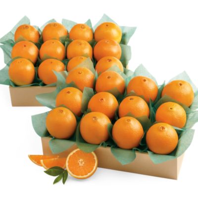Navel Oranges All-Time Favorite