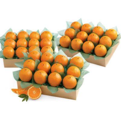 Navel Oranges Family Size