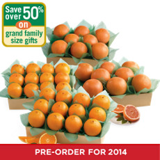 Key Biscayne Grand Family Size