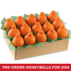 HoneyBells Large Sampler