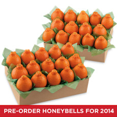 HoneyBells All-Time Favorite