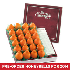 HoneyBell Care Package - 18-24 Count