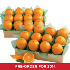 Navel Oranges All-Time Favorite