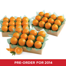 Navel Oranges Family Size