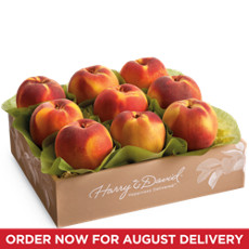 Oregold® Peaches