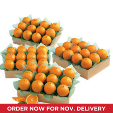 Navel Oranges Grand Family Size