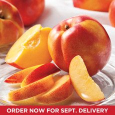Light Juicy Giant Nectarines