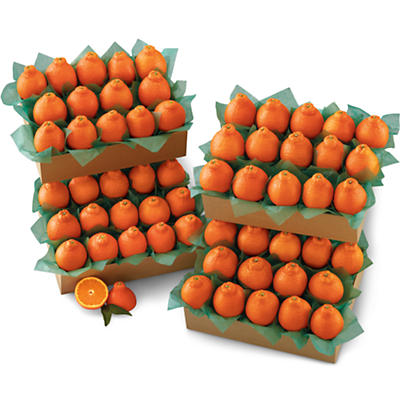 HoneyBells Grand Family Size HoneyBells Grand Family Size