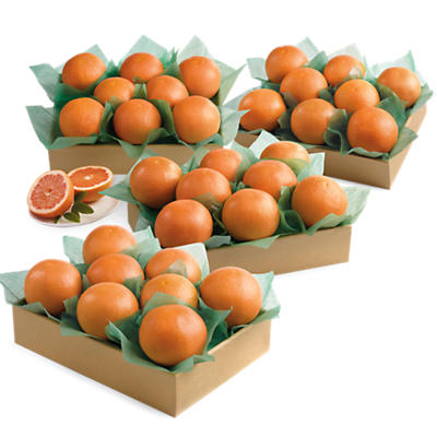 Crown Ruby Red Grapefruit Large Family Size Crown Ruby Red Grapefruit Large Family Size
