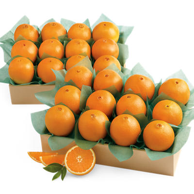 Navel Oranges All-Time Favorite Navel Oranges All-Time Favorite