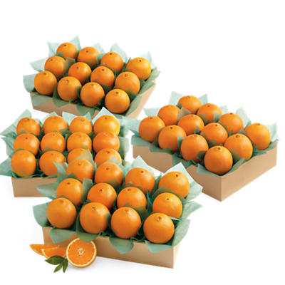 Navel Oranges Grand Family Size Navel Oranges Grand Family Size