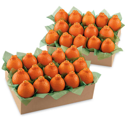 Western HoneyBells All-Time Favorite Western HoneyBells All-Time Favorite