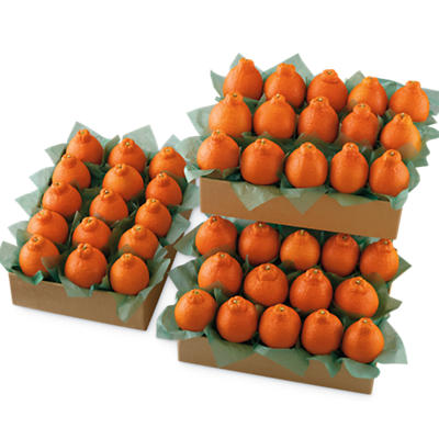 Western HoneyBells Family Size Western HoneyBells Family Size