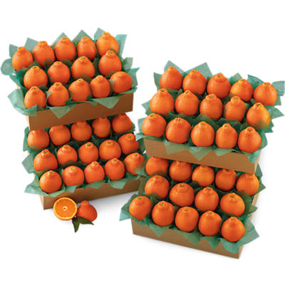 Western HoneyBells Large Family Size Western HoneyBells Large Family Size