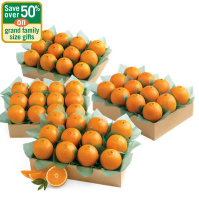 Navel Oranges Grand Family Size Navel Oranges Grand Family Size