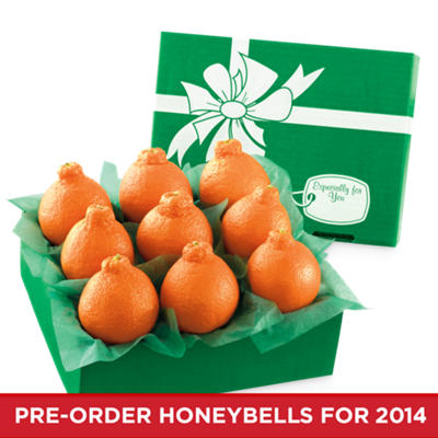 HoneyBells Lite Size Sampler HoneyBells Lite Size Sampler
