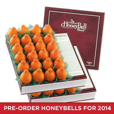 Two HoneyBell Care Packages - 36-48 Count Two HoneyBell Care Packages - 36-48 Count