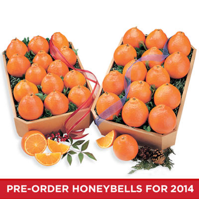 HoneyBell First and Last Pick BIG Boxes HoneyBell First and Last Pick BIG Boxes
