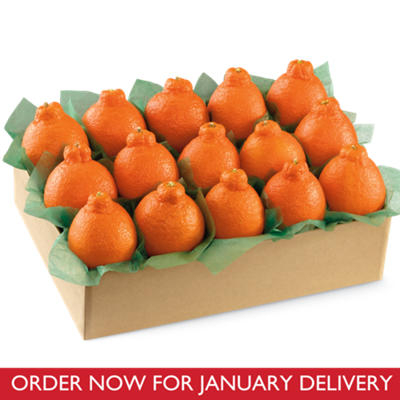 HoneyBells Large Sampler HoneyBells Large Sampler