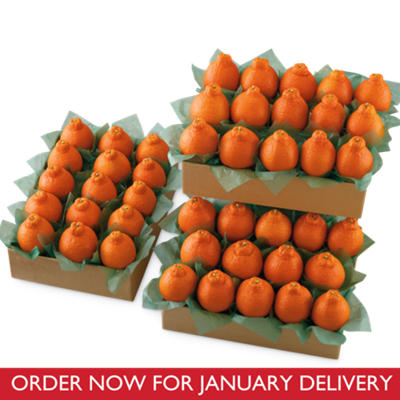 HoneyBells Family Size HoneyBells Family Size