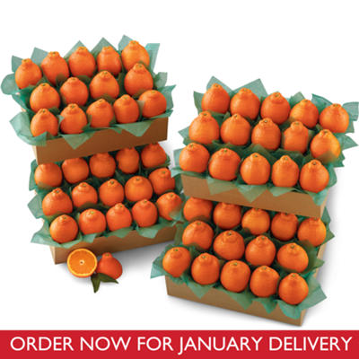 HoneyBells Grand Family Size HoneyBells Grand Family Size