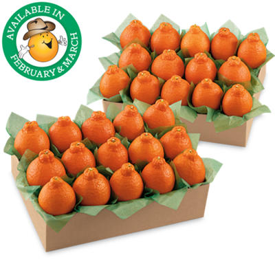 Western HoneyBells All-Time Favorite Western HoneyBells All-Time Favorite