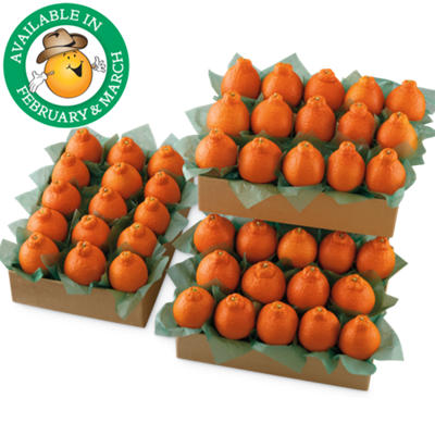 Western HoneyBells Family Size Western HoneyBells Family Size