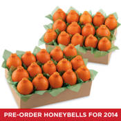 HoneyBells All-Time Favorite